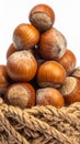 Stacked Hazelnuts on Rope Isolated on White Background Close Up Royalty Free Stock Photo