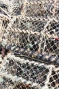 Stacked lobster nets Royalty Free Stock Photo