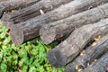 Stacked log cut trees and grass