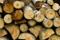 Stacked logpile Royalty Free Stock Photo