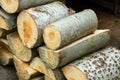 Stacked logpile Royalty Free Stock Photo