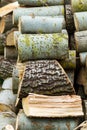 Stacked logpile Royalty Free Stock Photo