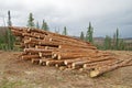 Stacked Logs