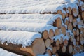 Stacked logs of firewood with snow cover