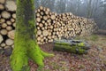 Stacked Logs