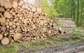 Stacked logs in a forest, deforestation concept, selective focus