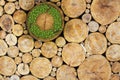 Stacked Logs with recycle symbol