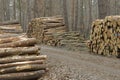 Stacked Logs Royalty Free Stock Photo