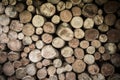 Stacked logs wood for fireplace. Royalty Free Stock Photo