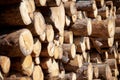 Stacked logs and woodpiles, lumber and wood industry