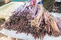 Lotus stem in local market at Phatthalung, Thiland Royalty Free Stock Photo