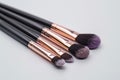 Stacked makeup brushes, Royalty Free Stock Photo