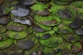 Stacked mossy pebbles