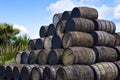 Stacked pile of old wooden barrels and casks at whisky distiller Royalty Free Stock Photo