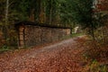 Stacked pile of split firewood arranged into a long wall in a forest. Autumn day, no people Royalty Free Stock Photo