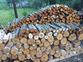 Stacked pile wood Royalty Free Stock Photo