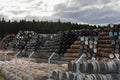 Stacked pile of old wooden barrels and casks at Speyside Cooperage in Scotland Royalty Free Stock Photo