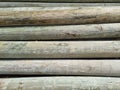 Stacked pine logs treated for mold, fungus and rot. Poles for equipment. Low quality lumber. Selective focus Royalty Free Stock Photo