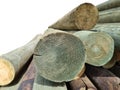 Stacked pine logs treated for mold, fungus and rot. Poles for equipment. Low quality lumber. Selective focus Royalty Free Stock Photo