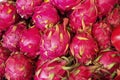 Stacked of pitaya or pitahaya in market Turkey Royalty Free Stock Photo