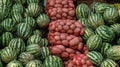 Stacked potato sacks surrounded by ripe water melons. Color contrast concept Royalty Free Stock Photo