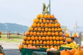 Stacked Pumpkins Royalty Free Stock Photo