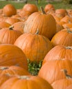 Stacked pumpkins