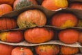 Stacked pumpkins. Royalty Free Stock Photo