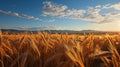 Sunrise In Wheat Field: Precisionism Influence With Realistic Colors