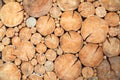 Stacked round wood logs background texture