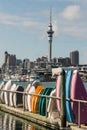 Stacked rowing boats in Auckland marina