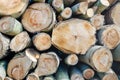 Stacked sawn birch trunks from close Royalty Free Stock Photo