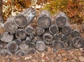 Stacked Seasond Unsplit Firewood Royalty Free Stock Photo