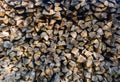 Stacked splitted firewood background