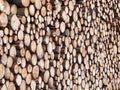 Stacked spruce tree trunks after forestry work, side view of stored logs Royalty Free Stock Photo