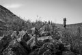 A stacked stone wayfinder in Northumberland countryside Royalty Free Stock Photo