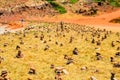 Stacked stones in Cala de Pregonda in Menorca Royalty Free Stock Photo