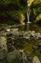 Stacked stones and flower in front of a waterfall in Carpathian Mountains flowing off a gully carved in stone and covered by moss