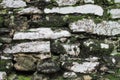 Stacked tan rock wall detail with green moss and white lichen