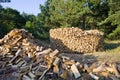 Stacked timber logs for bio heating Royalty Free Stock Photo