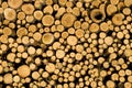 Stacked timber logs, biomass Royalty Free Stock Photo