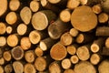 Stacked tree wood logs Royalty Free Stock Photo