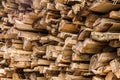 Stacked tree wood logs Royalty Free Stock Photo