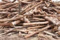 Stacked tree wood logs background Royalty Free Stock Photo