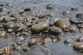 Stacked wet Beach stones and pebble texture on Loji beach Sukabumi for industrial background Royalty Free Stock Photo