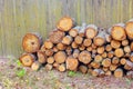 stacked wood cut background Royalty Free Stock Photo