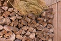 Stacked wood logs with dry pine tree branch against wooden panels. Chopped firewood. Woodpile concept. Royalty Free Stock Photo