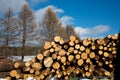 Stacked wood logs , sawn logs