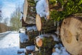 Stacked wood. Pile of small logs covered with ice and snow. Tree trunks in forest during winter Royalty Free Stock Photo