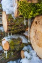 Stacked wood. Pile of small logs covered with ice and snow. Tree trunks in forest during winter Royalty Free Stock Photo